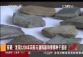 西藏：发现3200年前新石器陶器和青稞种子遗迹