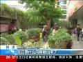 云南昆明城管摆放600多盆植物“占地”