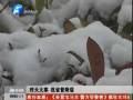 河南省20日普降瑞雪 雾霾天气仍将继续