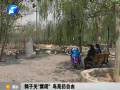 郑州动物园鸽子关“禁闭” 鸟苑仍自由