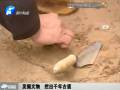 郑州发掘文物 挖出千年古道