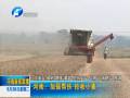 河南：加强帮扶 抢收小麦