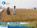 郑州：考生办临时身份证立等可取