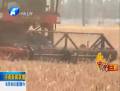 积极协调应对农机短缺 黄河以南麦收基本结束