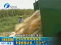 全省秋作物陆续收获 专家提醒农民“沉住气”