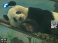 郑州动物园被暂停引进珍稀动物