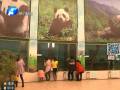 郑州动物园熊猫死因确定