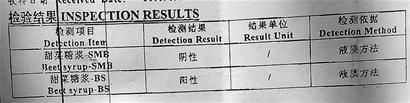 检测报告