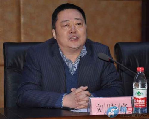 河南影视集团副总裁刘晓峰发言