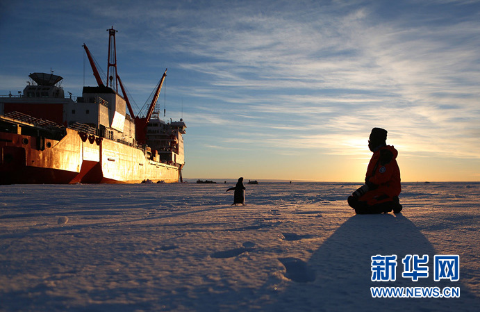 南极企鹅“围观”雪龙号科考船