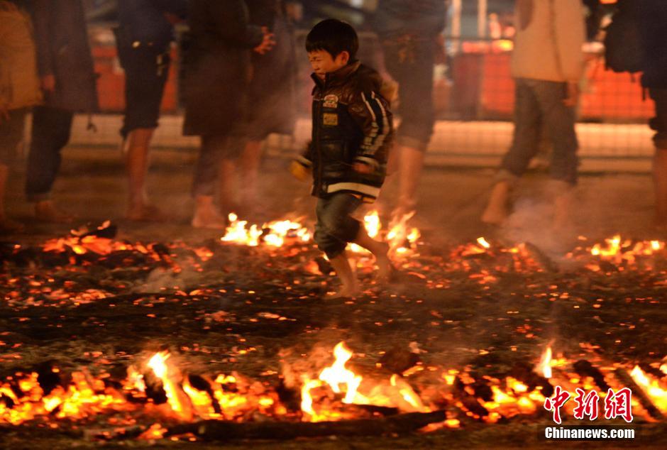 日本儿童渡火仪式 赤脚在炭火上奔跑