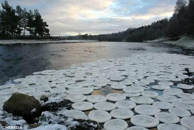 苏格兰湖面出现“飞盘”冰