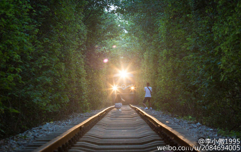 女孩“爱情隧道”拍照 两次逼停火车
