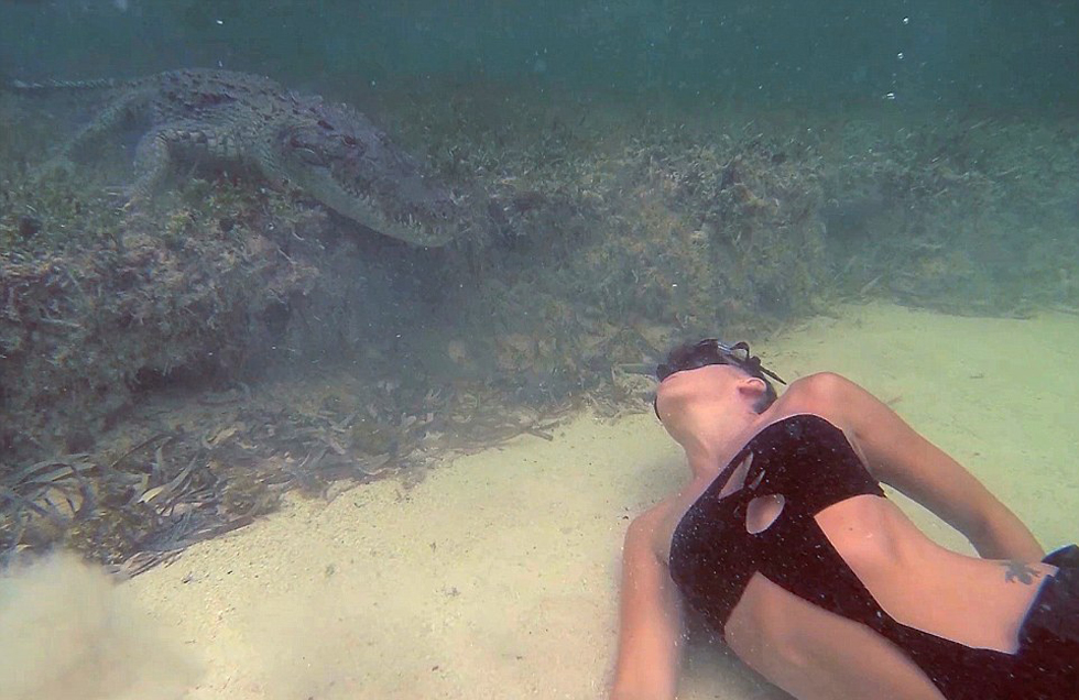 意大利美女模特与鳄鱼水下同游 经历“死亡对视”