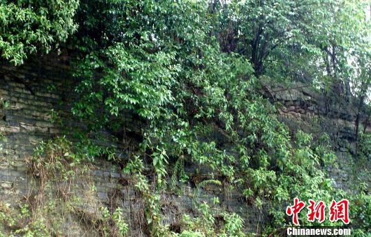 汉中新发现的古城墙　左汤泉　摄