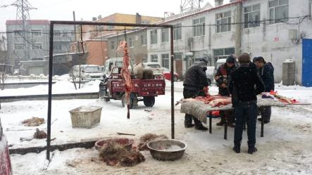 商贩小学门口宰杀活羊大人呼残忍孩子做噩梦(图)