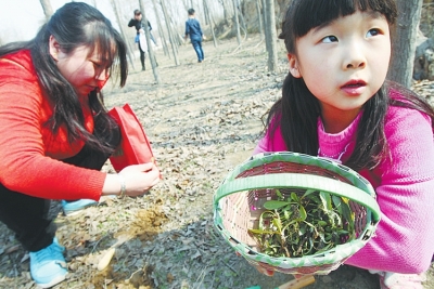 春季想挖野菜去哪里 郑州采挖线路图攻略