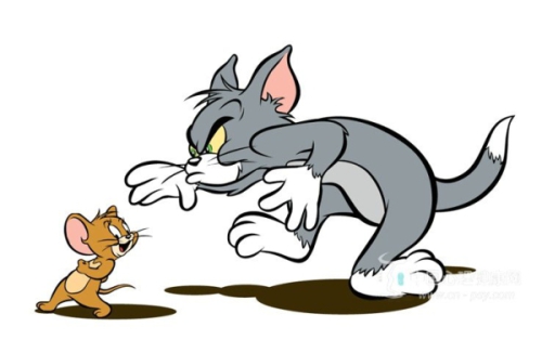 猫和老鼠现实版杰瑞神级伪装