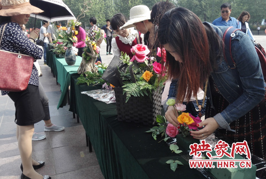 五一期间郑州40万株月季花开展市民可免费体验插花