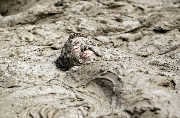 美国儿童泥浆中打滚