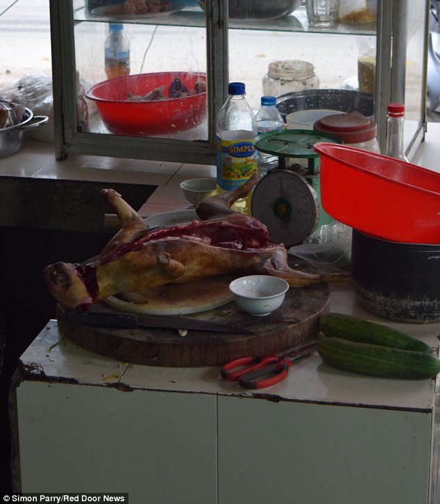 越南猫肉餐厅将猫淹死剥皮切成小块再油炸